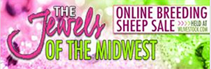 Wyncrest For Sale - Jewels of the Midwest Online Sale