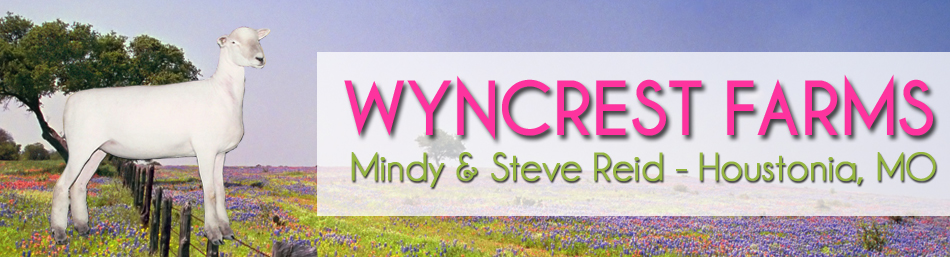 Wyncrest Farms - Mindy Gibson