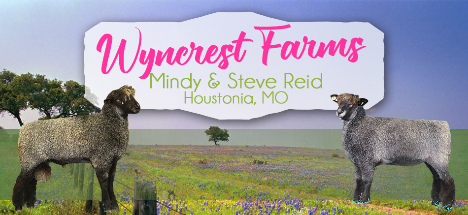 Wyncrest Farms